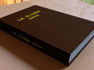 Livro Modelo 3D