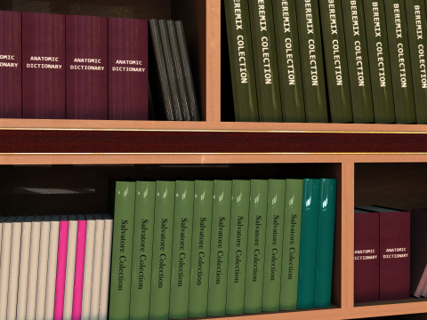 Library 3D Model