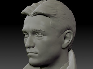 bust brigada Modello di stampa 3D