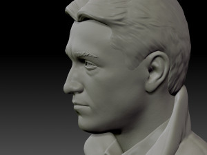 bust brigada Modello di stampa 3D