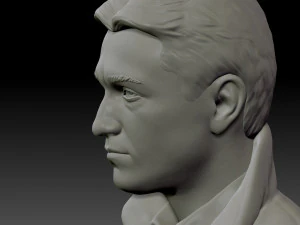 bust brigada 3D Print Model