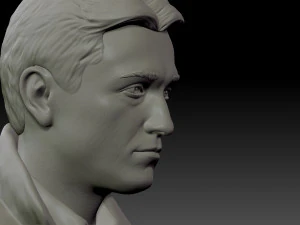 bust brigada 3D Print Model