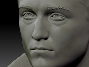 bust brigada 3D Print Model