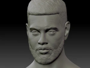 busto de timati Modelo de Impressão 3D