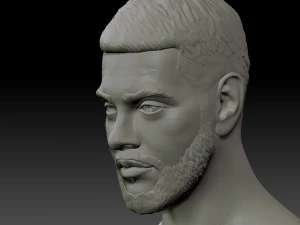 busto de timati Modelo de Impressão 3D