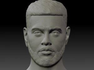 busto de timati Modelo de Impressão 3D