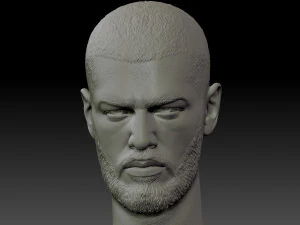 मियागी सिर 3D प्रिंट मॉडल