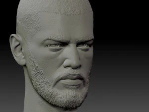 miyagi head 3D Print Model