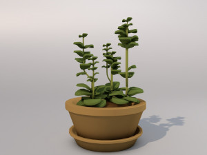 houseplants Modelo 3D