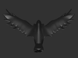 corvo Modello 3D