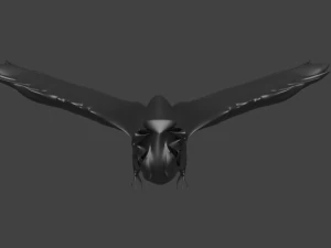 crow 3D Model