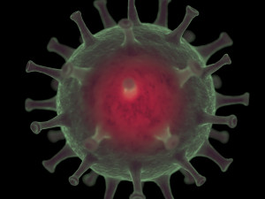coronavirus covid-19 animated 3D Model