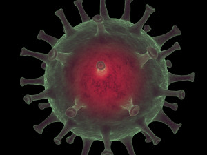 coronavirus covid-19 animated 3D Model