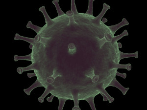 coronavirus covid-19 animated 3D Model