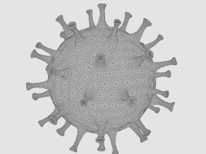 coronavirus covid-19 animated 3D Model