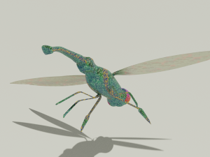 dragon-fly 3D 模型