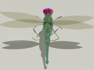 dragon-fly 3D 模型