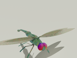 dragon-fly 3D 模型
