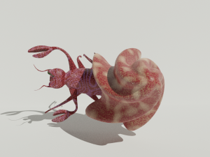 crustacean 3D Модель