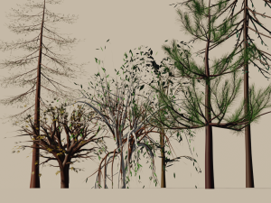 trees shrubs and bushes 3D Model