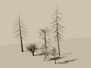 trees shrubs and bushes Modello 3D