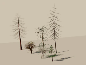 trees shrubs and bushes 3D Model