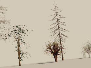 trees shrubs and bushes Modello 3D
