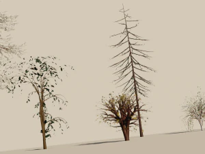 trees shrubs and bushes 3D Model