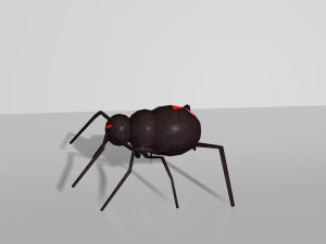 spider toon 3D 모델