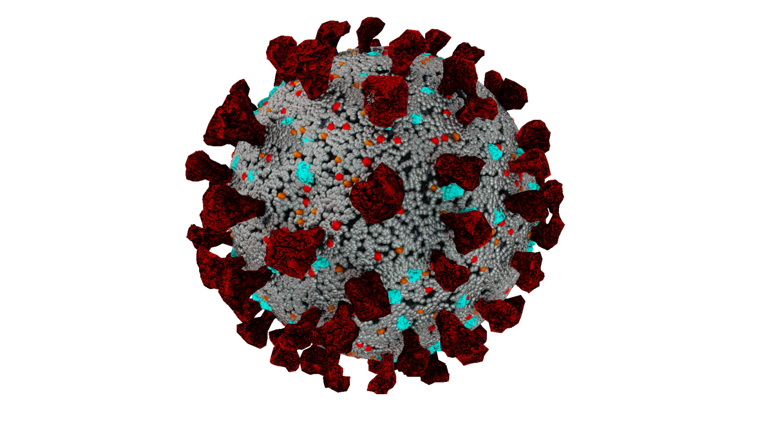 corona virus covid 19 3D Model .c4d .max .obj .3ds .fbx .stl .blend