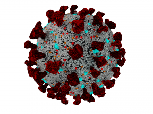 corona virus covid 19 3D Model