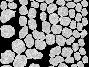 corona virus covid 19 3D Model