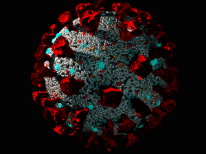 corona virus covid 19 Modelo 3D