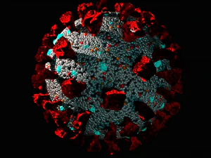 corona virus covid 19 3D Model