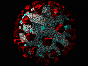 corona virus covid 19 Modelo 3D