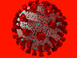 corona virus covid 19 3D Model