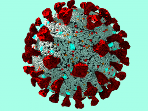 corona virus covid 19 Modelo 3D