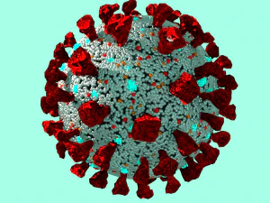 corona virus covid 19 3D Model
