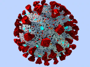 corona virus covid 19 3D Model
