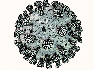 corona virus covid 19 Modelo 3D