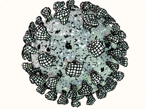 corona virus covid 19 3D Model