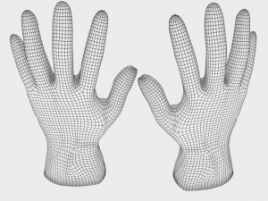 surgical gloves Modèle 3D