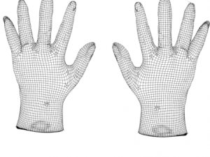 surgical gloves 3D 模型