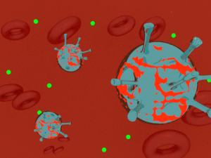 virus bacteria blood 3Dモデル