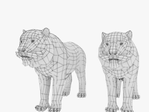 tiger white tiger bengal tiger wild life nature 3D Модель