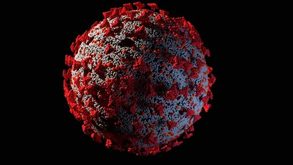 coronavirus corona virus covid 19 3D Model .c4d .max .obj .3ds .fbx .stl .blend