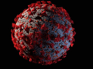 coronavirus corona virus covid 19 3D Модель