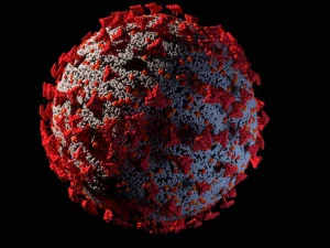 koronawirus korona wirus covid 19 Model 3D
