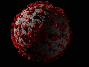 coronavirus corona virus covid 19 Model 3D