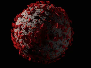 coronavirus corona virus covid 19 3D Model